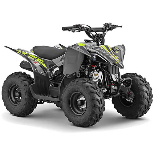 10TEn 10TEN RXR 110 Junior Quad Bike